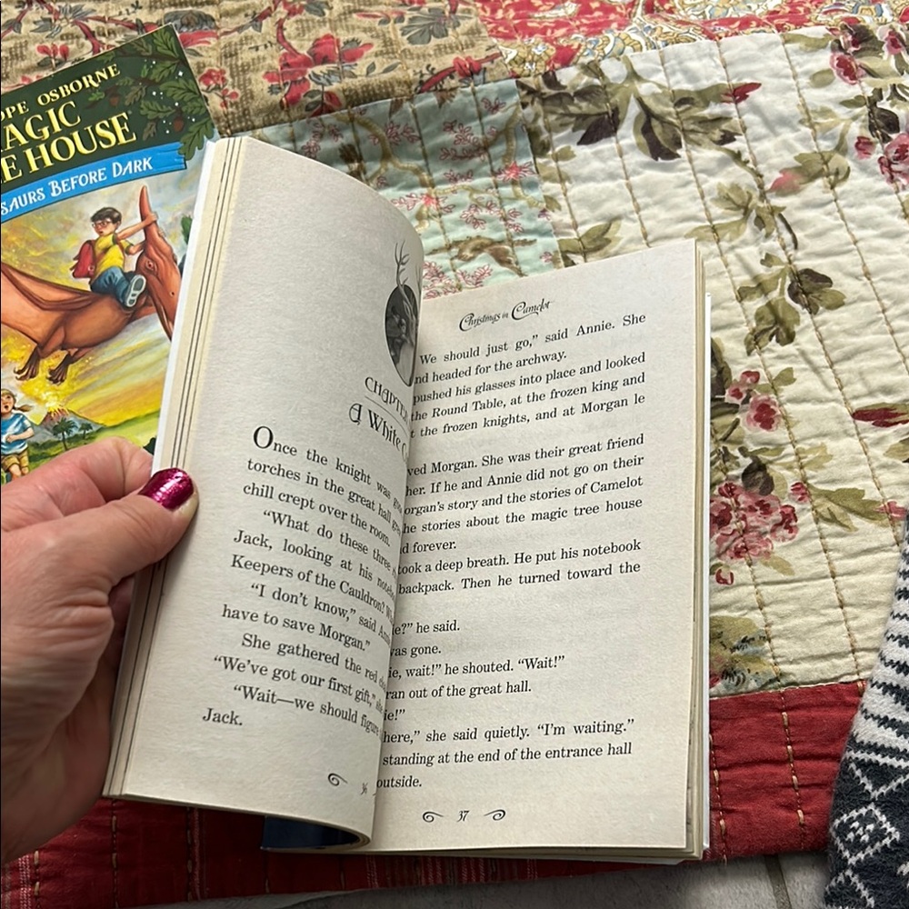 Magic Tree House Book Set - Picture 8 of 10